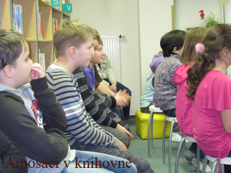 knihovna (6)